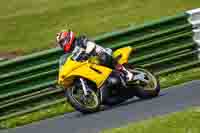 Lower Group Yellow Bikes